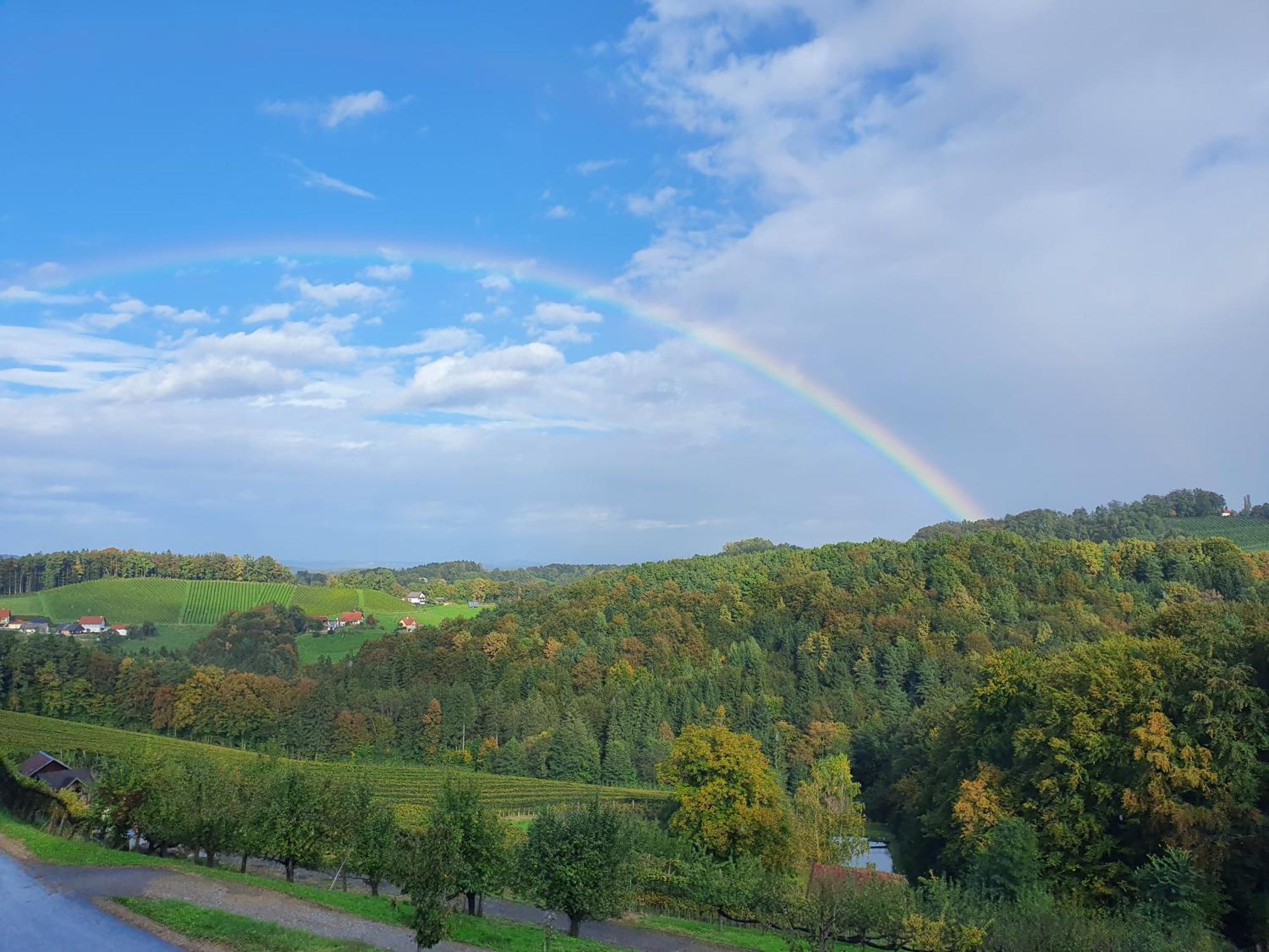 Weingut Pugl Apartman Leibnitz Kültér fotó