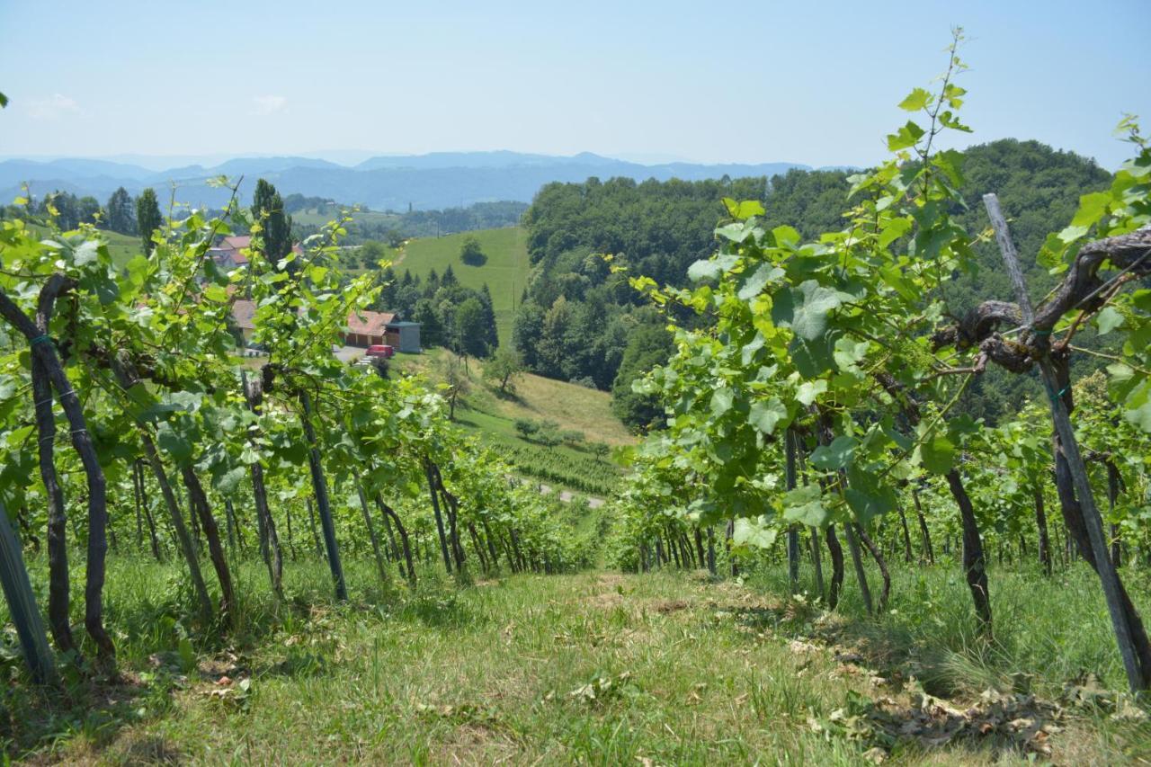 Weingut Pugl Apartman Leibnitz Kültér fotó